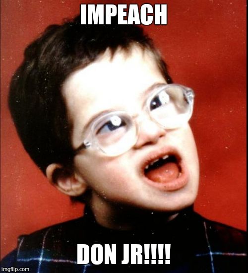 retard | IMPEACH DON JR!!!! | image tagged in retard | made w/ Imgflip meme maker