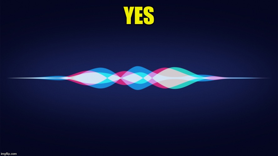 siri | YES | image tagged in siri | made w/ Imgflip meme maker