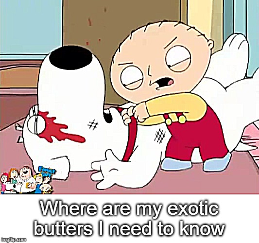 Stewie Griffin Where's My Money | Where are my exotic butters I need to know | image tagged in stewie griffin where's my money | made w/ Imgflip meme maker