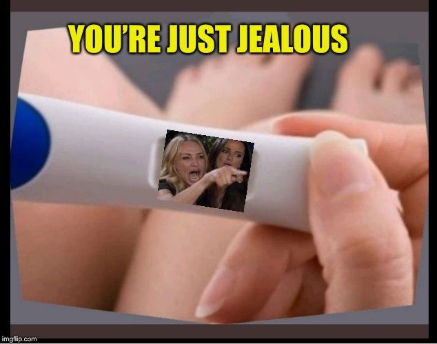 PREGNANCY TEST BLANK | YOU’RE JUST JEALOUS | image tagged in pregnancy test blank | made w/ Imgflip meme maker