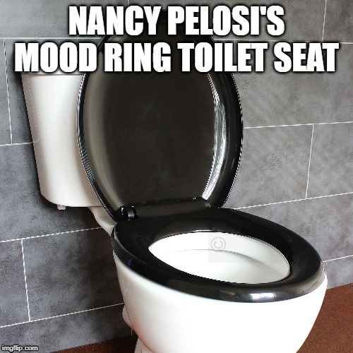 nancy pelosi toilet seat | NANCY PELOSI'S MOOD RING TOILET SEAT | image tagged in nancy pelosi,mood ring,toilet seat | made w/ Imgflip meme maker