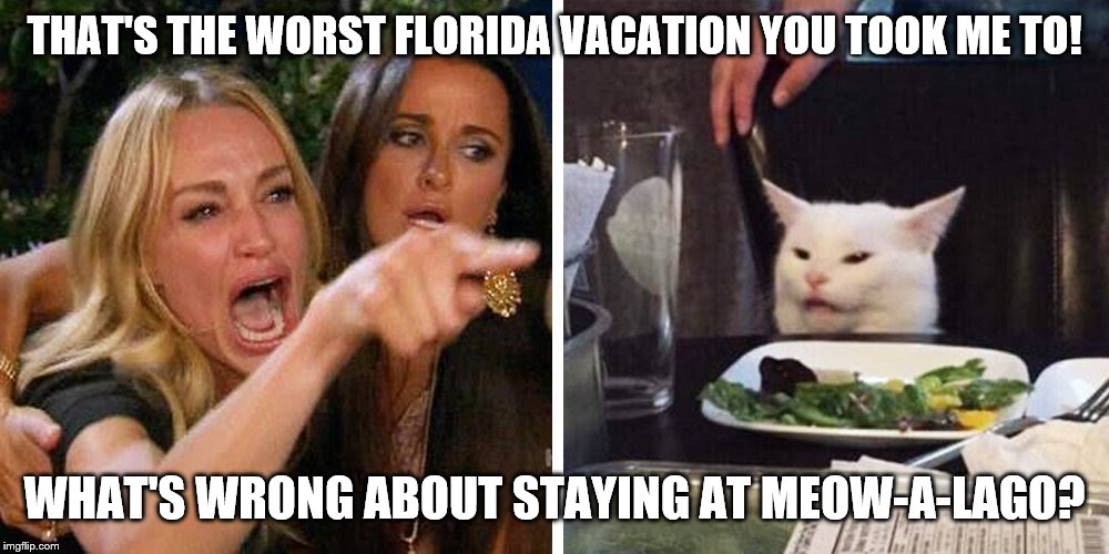 Smudge the cat | THAT'S THE WORST FLORIDA VACATION YOU TOOK ME TO! WHAT'S WRONG ABOUT STAYING AT MEOW-A-LAGO? | image tagged in smudge the cat | made w/ Imgflip meme maker