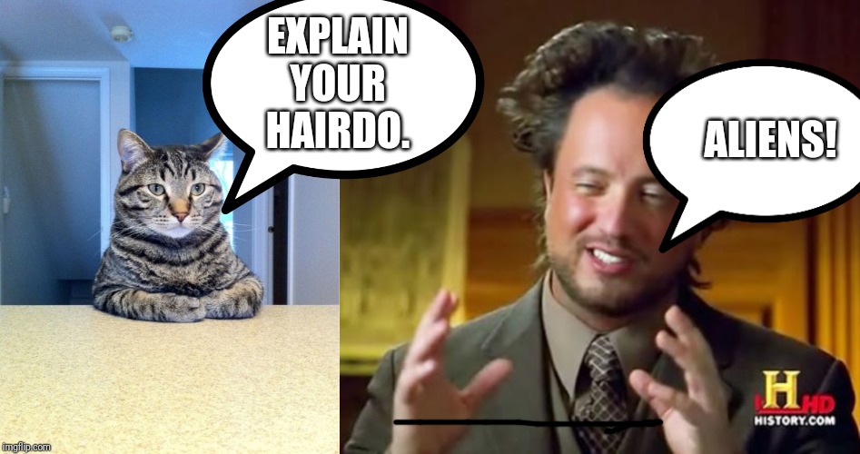 EXPLAIN YOUR HAIRDO. ALIENS! | image tagged in memes,ancient aliens,take a seat cat | made w/ Imgflip meme maker