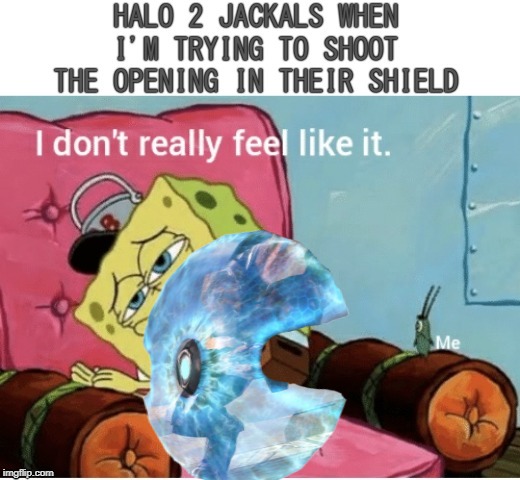Sometimes Halo 2 be that way... | image tagged in halo | made w/ Imgflip meme maker
