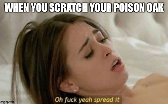 Fuck Yeah Spread It | WHEN YOU SCRATCH YOUR POISON OAK | image tagged in fuck yeah spread it | made w/ Imgflip meme maker