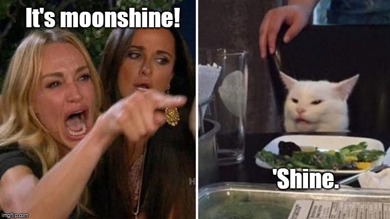 Southern speak | It's moonshine! 'Shine. | image tagged in girls vs cat,southern,humor | made w/ Imgflip meme maker