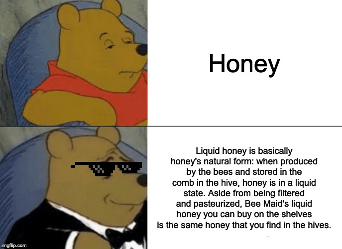 Tuxedo Winnie The Pooh | Honey; Liquid honey is basically honey's natural form: when produced by the bees and stored in the comb in the hive, honey is in a liquid state. Aside from being filtered and pasteurized, Bee Maid's liquid honey you can buy on the shelves is the same honey that you find in the hives. | image tagged in memes,tuxedo winnie the pooh | made w/ Imgflip meme maker