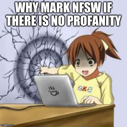 Anime wall punch | WHY MARK NFSW IF THERE IS NO PROFANITY | image tagged in anime wall punch | made w/ Imgflip meme maker