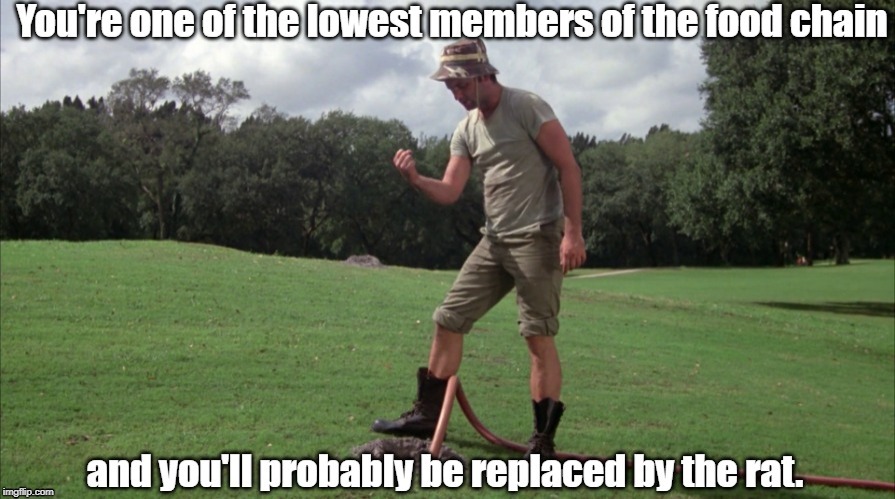 Caddyshack | image tagged in caddyshack,bill murray,gopher | made w/ Imgflip meme maker