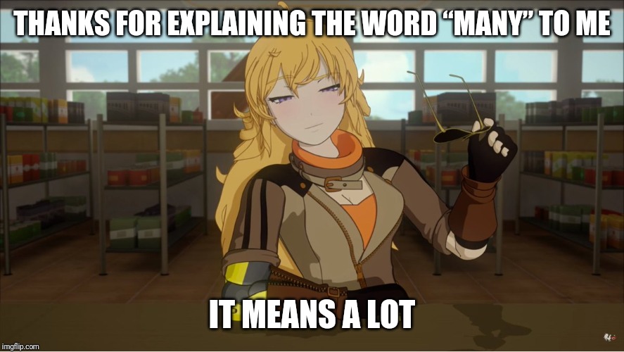 Yang's Puns | THANKS FOR EXPLAINING THE WORD “MANY” TO ME; IT MEANS A LOT | image tagged in yang's puns,rwby,fun,pun,bad pun,funny | made w/ Imgflip meme maker