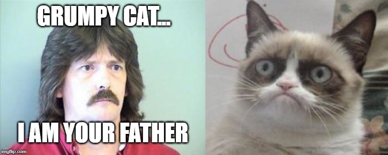 Grumpy Cat's Father Meme | GRUMPY CAT... I AM YOUR FATHER | image tagged in memes,grumpy cats father,grumpy cat | made w/ Imgflip meme maker