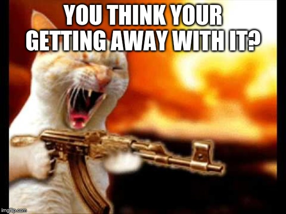 cat with gun | YOU THINK YOUR GETTING AWAY WITH IT? | image tagged in cat with gun | made w/ Imgflip meme maker