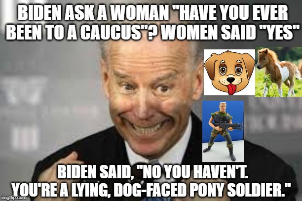 Biden,Lying Dog Faced Pony Soldier!! | BIDEN ASK A WOMAN "HAVE YOU EVER BEEN TO A CAUCUS"? WOMEN SAID "YES"; BIDEN SAID, "NO YOU HAVEN'T. YOU'RE A LYING, DOG-FACED PONY SOLDIER." | image tagged in biden,democrats | made w/ Imgflip meme maker