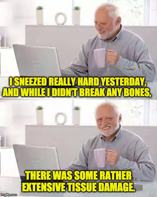 Hide the Pain Harold Meme | I SNEEZED REALLY HARD YESTERDAY, AND WHILE I DIDN’T BREAK ANY BONES, THERE WAS SOME RATHER EXTENSIVE TISSUE DAMAGE. | image tagged in memes,hide the pain harold | made w/ Imgflip meme maker