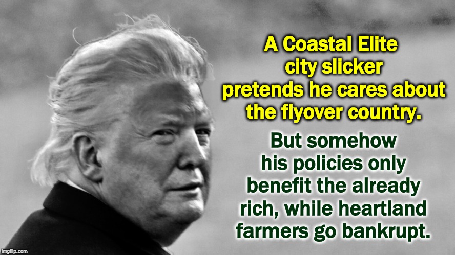 He slings a good line of sh*t, but that's all it is. Sh*t. | A Coastal Elite 
city slicker pretends he cares about the flyover country. But somehow his policies only benefit the already rich, while heartland farmers go bankrupt. | image tagged in trump tan in bw,trump,phony,elite,rich,farmers | made w/ Imgflip meme maker