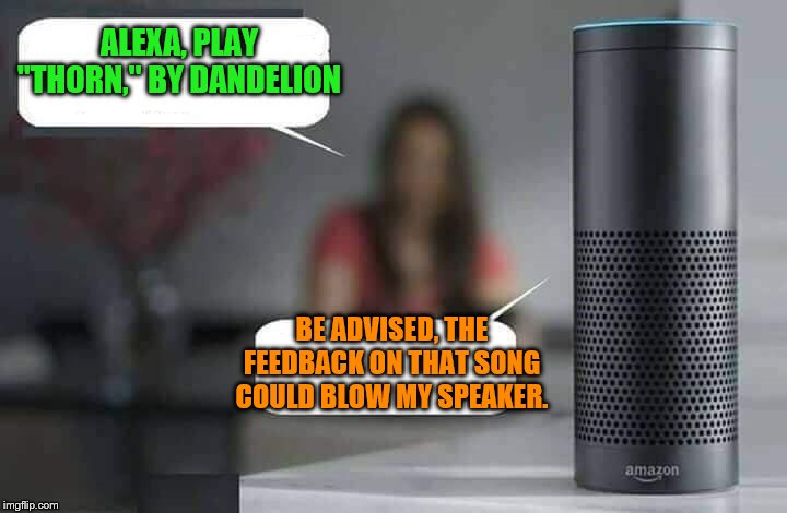 Alexa Do X (but be careful) | ALEXA, PLAY "THORN," BY DANDELION; BE ADVISED, THE FEEDBACK ON THAT SONG COULD BLOW MY SPEAKER. | image tagged in alexa do x,dandelion,grunge,serious feedback,self-protection mode starting | made w/ Imgflip meme maker