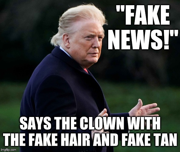 Trump orange face | "FAKE NEWS!"; SAYS THE CLOWN WITH THE FAKE HAIR AND FAKE TAN | image tagged in trump orange face | made w/ Imgflip meme maker