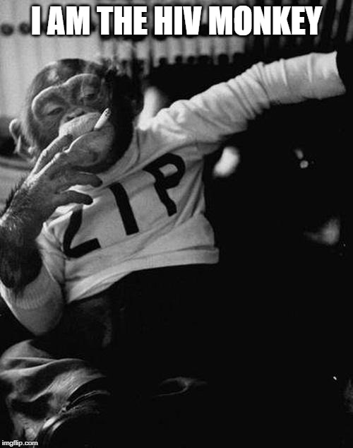 smoking monkey  | I AM THE HIV MONKEY | image tagged in smoking monkey | made w/ Imgflip meme maker