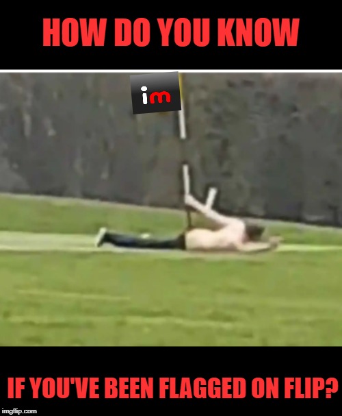 HOW DO YOU KNOW; IF YOU'VE BEEN FLAGGED ON FLIP? | image tagged in imgflip users,flag,flagged,who knows | made w/ Imgflip meme maker