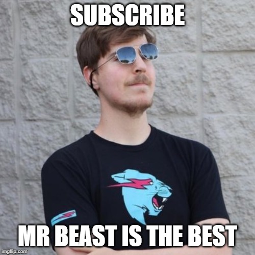 Mr. Beast | SUBSCRIBE; MR BEAST IS THE BEST | image tagged in mr beast | made w/ Imgflip meme maker
