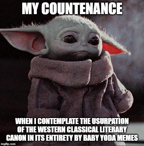 Sad Baby Yoda | MY COUNTENANCE; WHEN I CONTEMPLATE THE USURPATION OF THE WESTERN CLASSICAL LITERARY CANON IN ITS ENTIRETY BY BABY YODA MEMES | image tagged in sad baby yoda | made w/ Imgflip meme maker