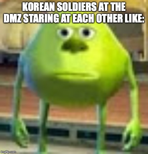 Sully Wazowski | KOREAN SOLDIERS AT THE DMZ STARING AT EACH OTHER LIKE: | image tagged in sully wazowski | made w/ Imgflip meme maker