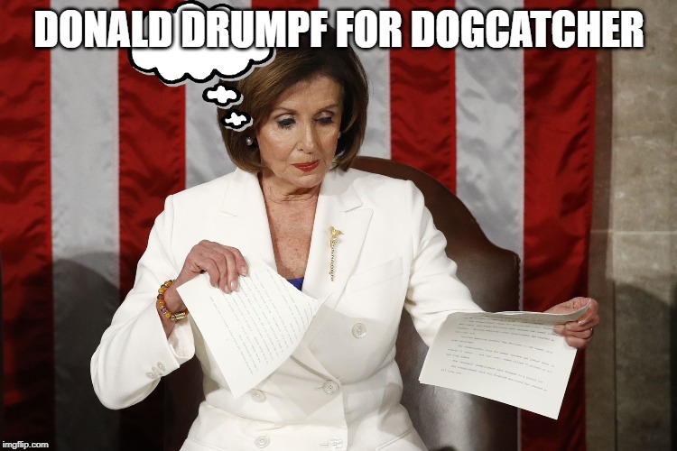 Into The Trash It Goes | DONALD DRUMPF FOR DOGCATCHER | image tagged in into the trash it goes | made w/ Imgflip meme maker