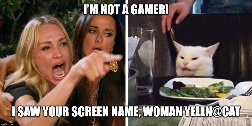 Smudge the cat | I’M NOT A GAMER! I SAW YOUR SCREEN NAME, WOMAN YELLN@CAT | image tagged in smudge the cat | made w/ Imgflip meme maker