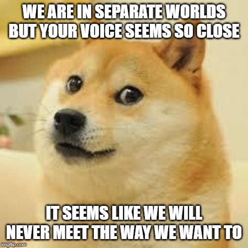Square Doge | WE ARE IN SEPARATE WORLDS BUT YOUR VOICE SEEMS SO CLOSE; IT SEEMS LIKE WE WILL NEVER MEET THE WAY WE WANT TO | image tagged in square doge | made w/ Imgflip meme maker