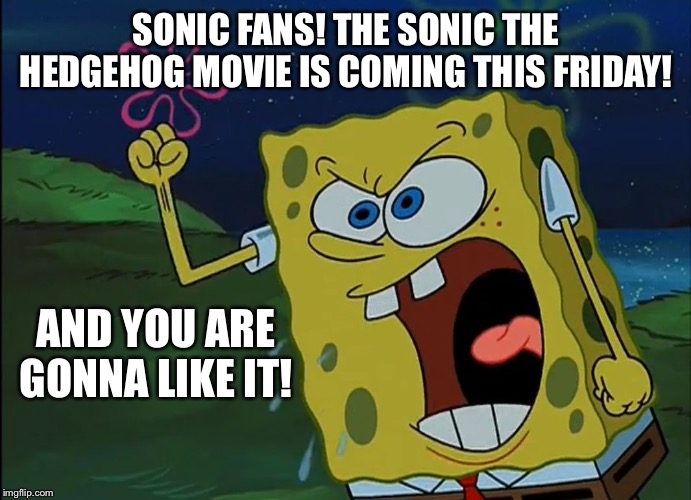 YOU ARE GONNA LIKE IT! | SONIC FANS! THE SONIC THE HEDGEHOG MOVIE IS COMING THIS FRIDAY! AND YOU ARE GONNA LIKE IT! | image tagged in you are gonna like it | made w/ Imgflip meme maker