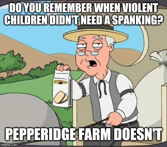 The people who tell you what's wrong,  are the people who don't like to get told their wrong.. | DO YOU REMEMBER WHEN VIOLENT CHILDREN DIDN'T NEED A SPANKING? PEPPERIDGE FARM DOESN'T | image tagged in kids these days,discipline | made w/ Imgflip meme maker