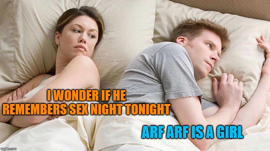 I Bet He's Thinking About Other Women Meme | I WONDER IF HE REMEMBERS SEX NIGHT TONIGHT ARF ARF IS A GIRL | image tagged in i bet he's thinking about other women | made w/ Imgflip meme maker