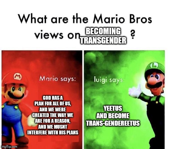 Mario Bros Views | BECOMING TRANSGENDER; GOD HAS A PLAN FOR ALL OF US, AND WE WERE CREATED THE WAY WE ARE FOR A REASON, AND WE MUSNT INTERFERE WITH HIS PLANS; YEETUS AND BECOME TRANS-GENDEREETUS | image tagged in mario bros views | made w/ Imgflip meme maker