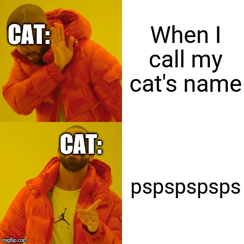 Drake Hotline Bling Meme | When I call my cat's name; CAT:; CAT:; pspspspsps | image tagged in memes,drake hotline bling,funny,cats | made w/ Imgflip meme maker