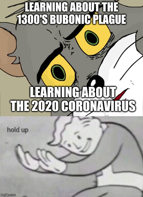 LEARNING ABOUT THE 1300'S BUBONIC PLAGUE; LEARNING ABOUT THE 2020 CORONAVIRUS | image tagged in memes,unsettled tom | made w/ Imgflip meme maker