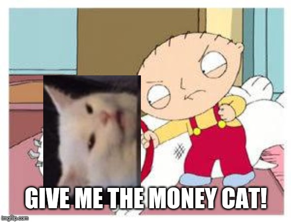 Stewie Where's My Money | GIVE ME THE MONEY CAT! | image tagged in stewie where's my money | made w/ Imgflip meme maker