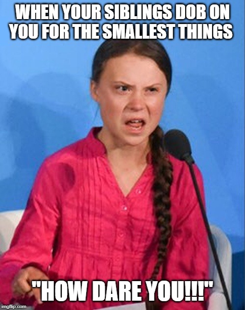 Greta Thunberg how dare you | WHEN YOUR SIBLINGS DOB ON YOU FOR THE SMALLEST THINGS; "HOW DARE YOU!!!" | image tagged in greta thunberg how dare you | made w/ Imgflip meme maker
