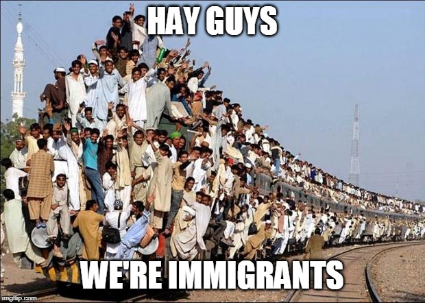 Indian Train | HAY GUYS; WE'RE IMMIGRANTS | image tagged in indian train | made w/ Imgflip meme maker