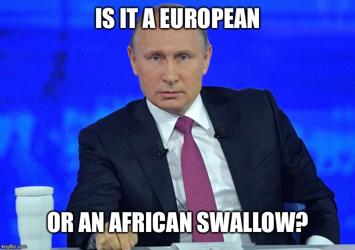 Putin has a question | IS IT A EUROPEAN OR AN AFRICAN SWALLOW? | image tagged in putin has a question | made w/ Imgflip meme maker