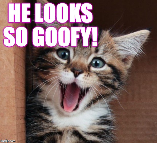Happy cat | HE LOOKS SO GOOFY! | image tagged in happy cat | made w/ Imgflip meme maker