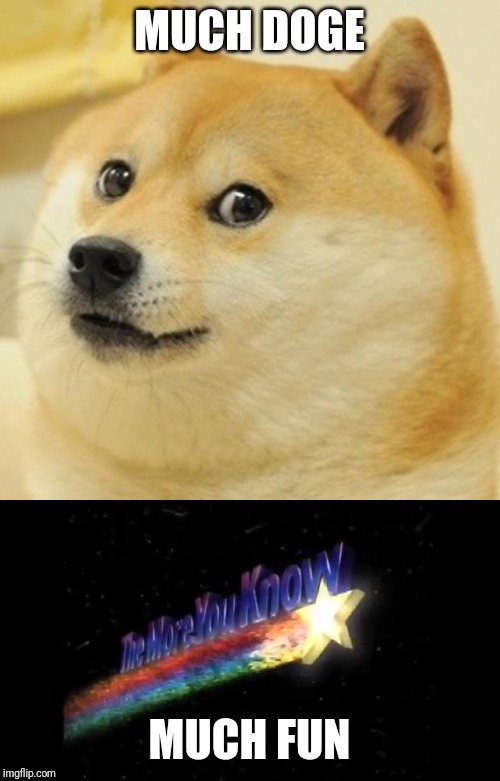 MUCH DOGE; MUCH FUN | image tagged in memes,doge | made w/ Imgflip meme maker