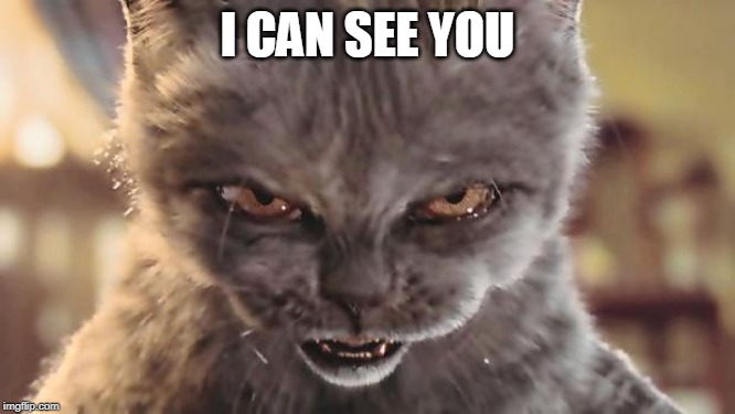 Evil Cat | I CAN SEE YOU | image tagged in evil cat | made w/ Imgflip meme maker