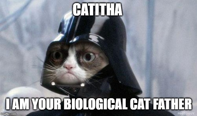Grumpy Cat Star Wars Meme | CATITHA; I AM YOUR BIOLOGICAL CAT FATHER | image tagged in memes,grumpy cat star wars,grumpy cat | made w/ Imgflip meme maker