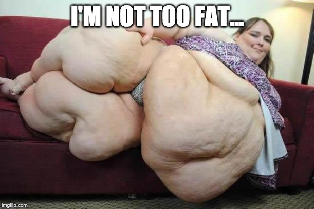 fat girl | I'M NOT TOO FAT... | image tagged in fat girl | made w/ Imgflip meme maker