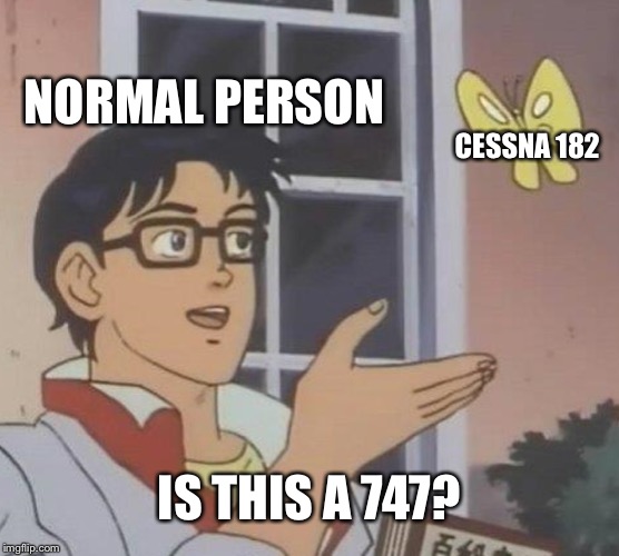 Is This A Pigeon Meme | NORMAL PERSON; CESSNA 182; IS THIS A 747? | image tagged in memes,is this a pigeon | made w/ Imgflip meme maker