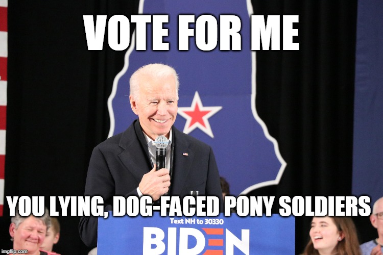 Joe Sure Knows How To Sweet-Talk a Crowd | VOTE FOR ME; YOU LYING, DOG-FACED PONY SOLDIERS | image tagged in joe biden,biden blunder,new hampshire,sweet-talking joe biden | made w/ Imgflip meme maker