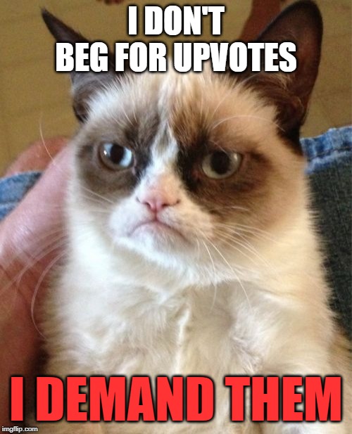 Grumpy Cat Meme | I DON'T BEG FOR UPVOTES; I DEMAND THEM | image tagged in memes,grumpy cat | made w/ Imgflip meme maker