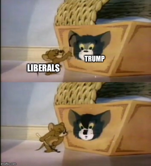 They only make him look like this | TRUMP; LIBERALS | image tagged in memes,funny,tom and jerry,trump,politics,hitler | made w/ Imgflip meme maker