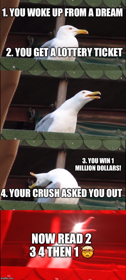 Inhaling Seagull Meme | 1. YOU WOKE UP FROM A DREAM; 2. YOU GET A LOTTERY TICKET; 3. YOU WIN 1 MILLION DOLLARS! 4. YOUR CRUSH ASKED YOU OUT; NOW READ 2 3 4 THEN 1 🤯 | image tagged in memes,inhaling seagull | made w/ Imgflip meme maker