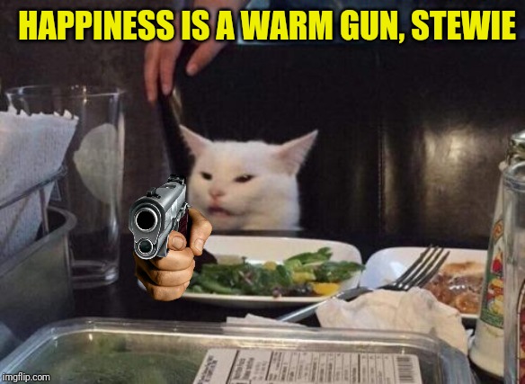 Salad cat | HAPPINESS IS A WARM GUN, STEWIE | image tagged in salad cat | made w/ Imgflip meme maker